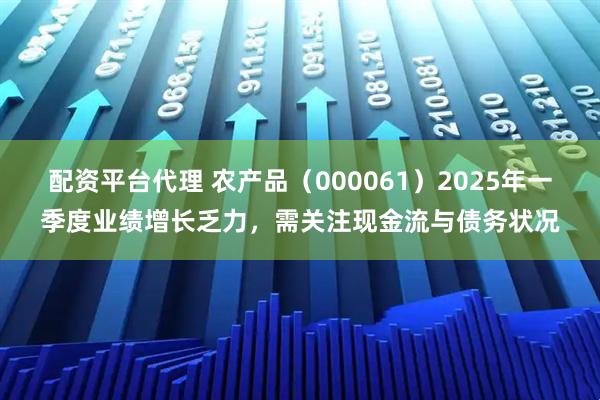 配资平台代理 农产品（000061）2025年一季度业绩增长乏力，需关注现金流与债务状况
