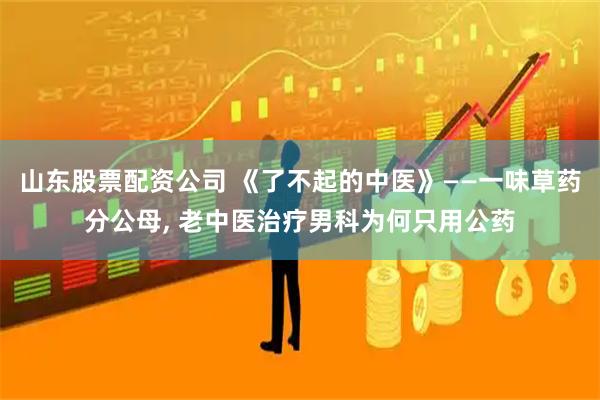 山东股票配资公司 《了不起的中医》——一味草药分公母, 老中医治疗男科为何只用公药