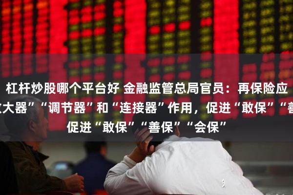 杠杆炒股哪个平台好 金融监管总局官员：再保险应充分发挥“放大器”“调节器”和“连接器”作用，促进“敢保”“善保”“会保”