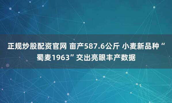 正规炒股配资官网 亩产587.6公斤 小麦新品种“蜀麦1963”交出亮眼丰产数据